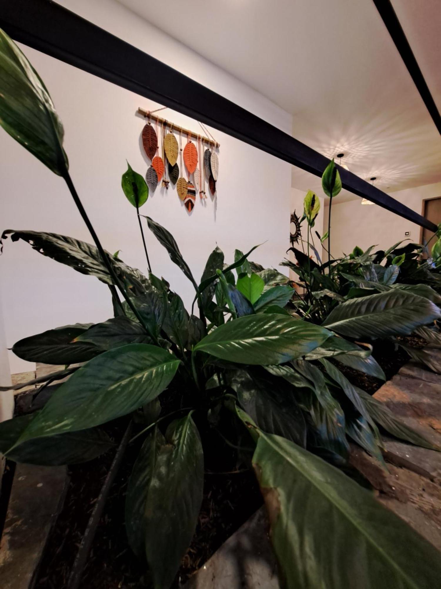 Guatape Country House Hotel Exterior photo